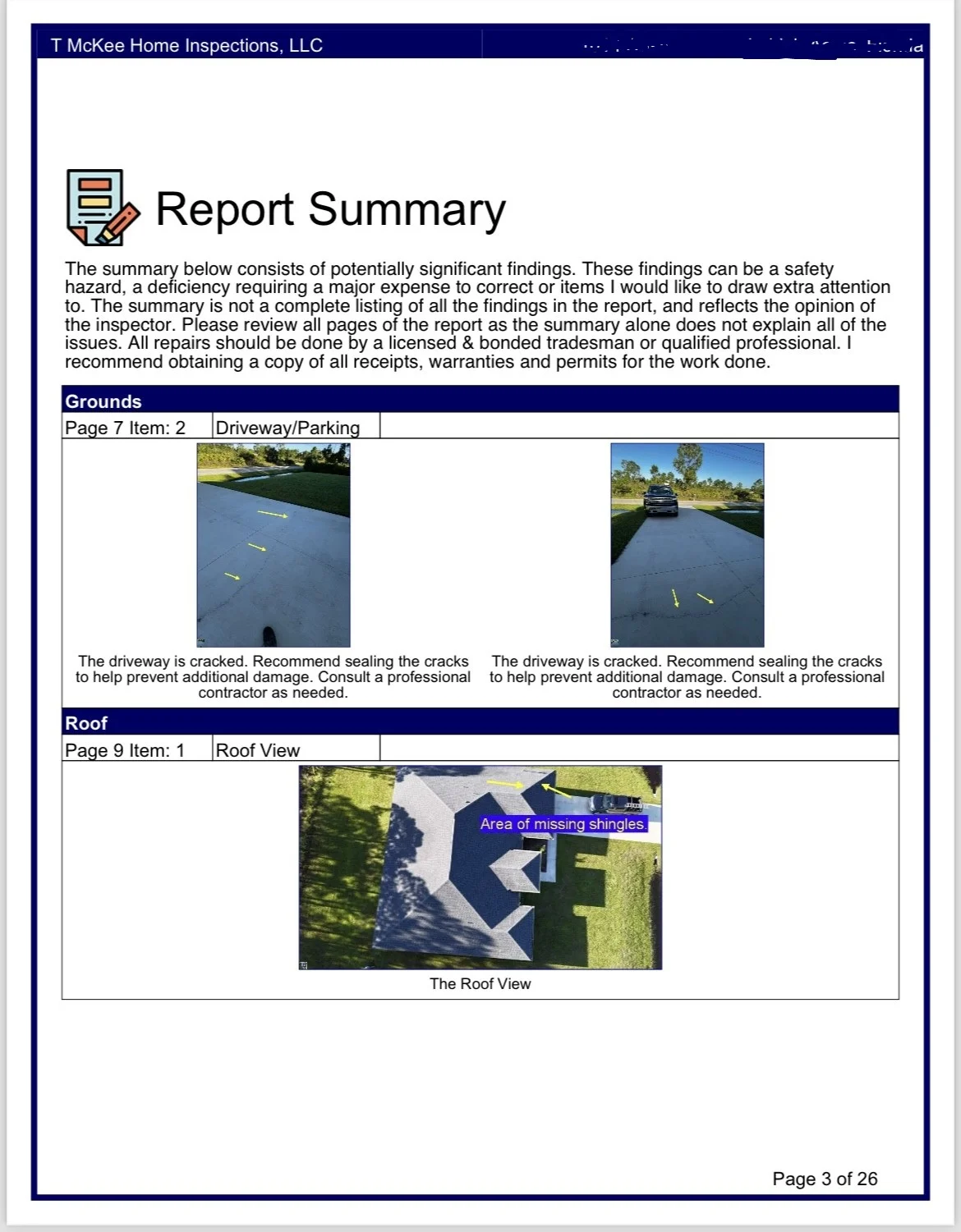 report-summ